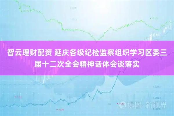 智云理财配资 延庆各级纪检监察组织学习区委三届十二次全会精神话体会谈落实
